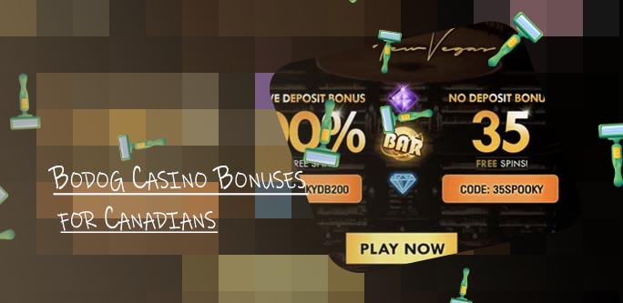 Bodog casino no deposit bonus codes 2019